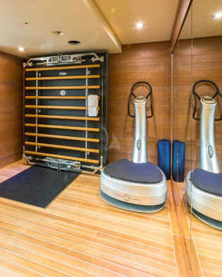 Icon gym